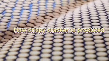 Cheese cracker machine 2022/Quality Cracker Biscuit Machines, Biscuit Production Line Provider #TUC