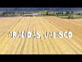 ARANDAS, JALISCO COMPRA-VENTA DE RANCHOS