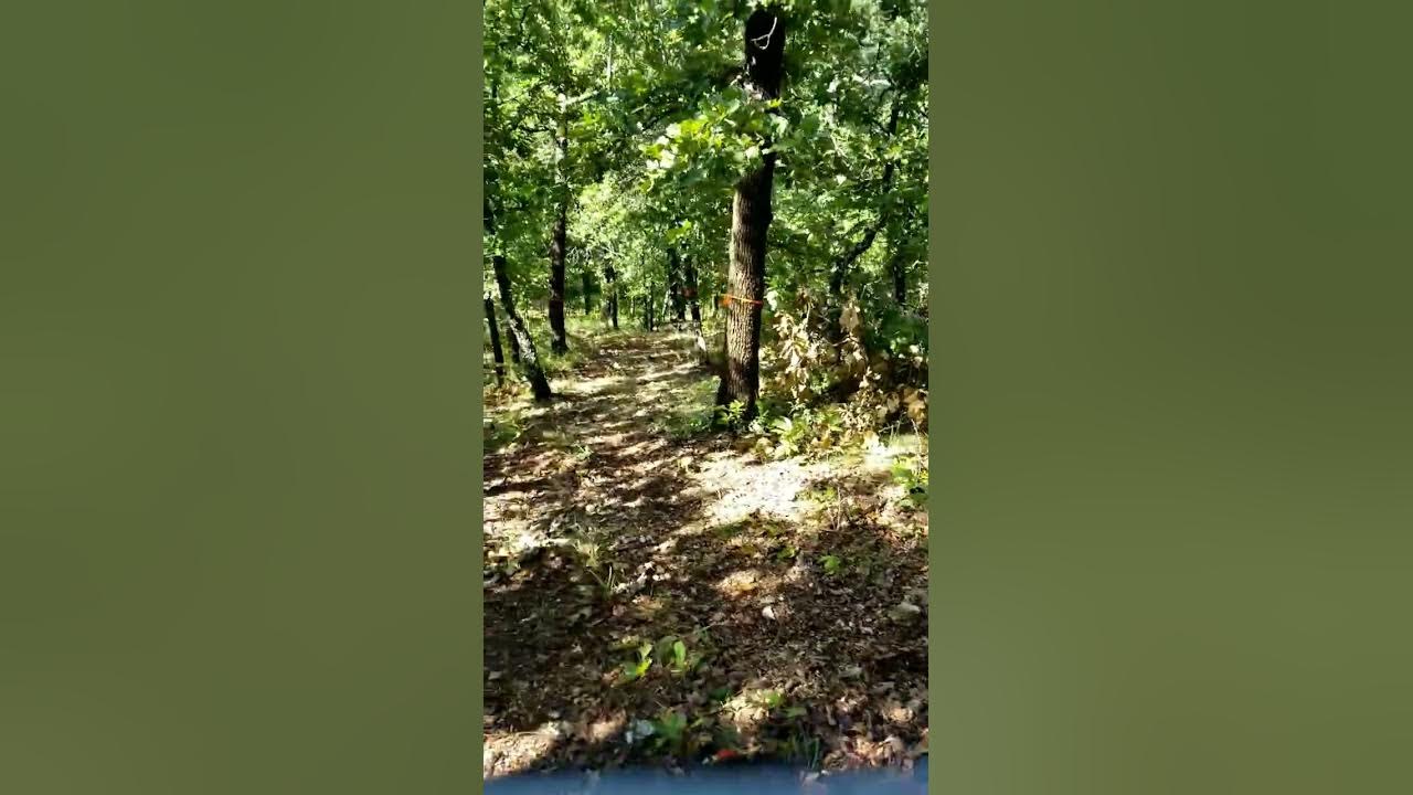 DANGER! 😳 Ozarks off grid raw land walk through part 3. YouTube