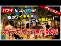 【ポケハツアー】夜のワイキキはどこも大賑わい！サンセット観賞＆カラカウア通り散策ツアー70分！【ハワイの今】【4K】