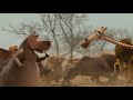 DreamWorks Madagascar | Recuperar el agua | Madagascar: Escape 2 África clip de película