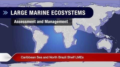 Week 6: Patrick Debels on the Caribbean and North Brazil Shelf LMEs (audio only)