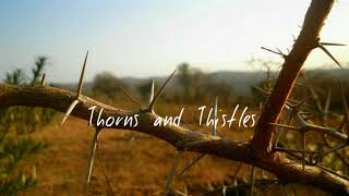 Darnel Holloway- Thorns and Thistles prod. by Rudy Jimenez