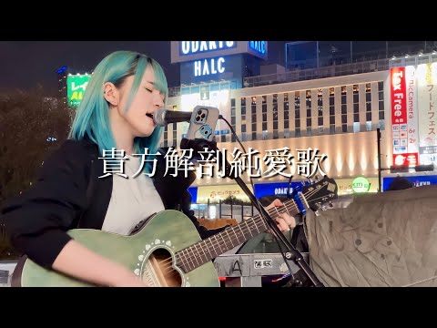 2023.04.01】貴方解剖純愛歌 / あいみょん covered by ざらめ