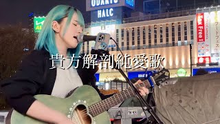 2023.04.01】貴方解剖純愛歌 / あいみょん covered by ざらめ
