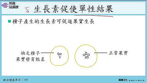 108選生二 4-3植物激素_1簡介_生長素 - 天天要聞