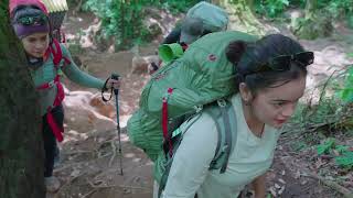 Gunung Gede | Spot Camping Favorit di Jawa Barat