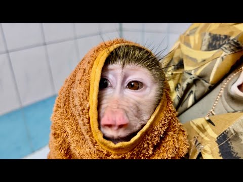 Анфиса сейчас будем из тебя ДЕЛАТЬ ЧЕЛОВЕКА