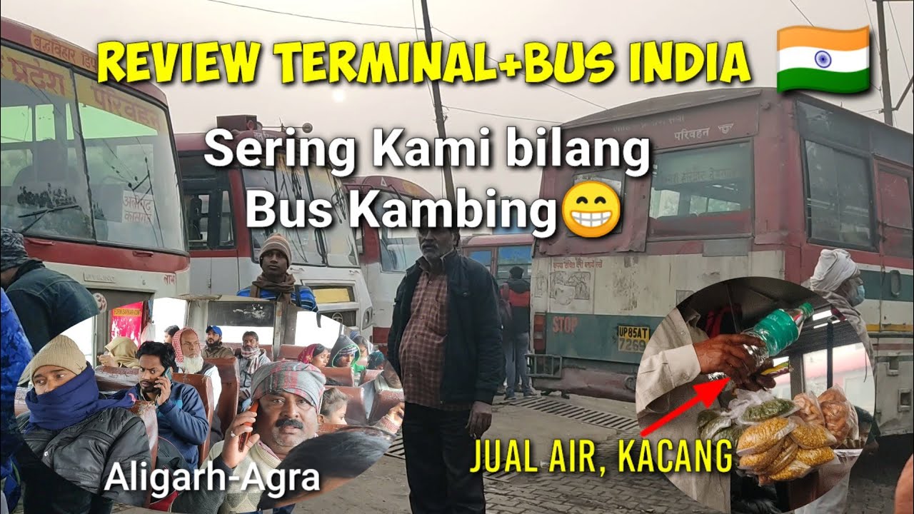 Review Terminal Bus+Bus india🇮🇳Biasa Kita bilang Bus Kambing😃 Mirip