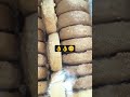#food #funny #comedy #ytstudioes