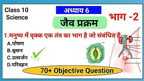 जैव प्रक्रम Objective Question Class 10 ||Chapter 6 jaiv prakram MCQ || भाग 2