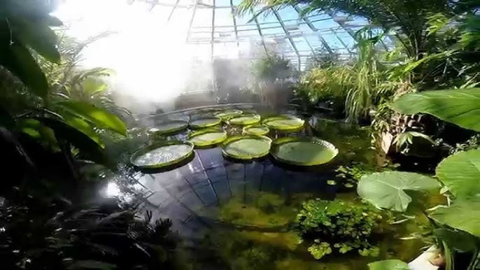 Botania - University of Eastern Finland