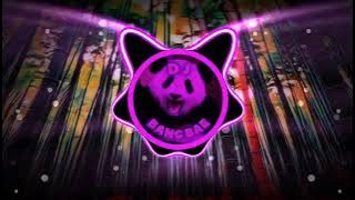 DJ EXPENSIVE AIRCRAFT LELEH LELET 227 - FLY HIGH TOGETHER AIRBUS BOENG799