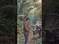 WELCOME TO JUNGLE #shortvideo #shortsfeed #shorts #facts #jungleadventure