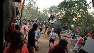 Elephant Attack while fest | #routemastertoday