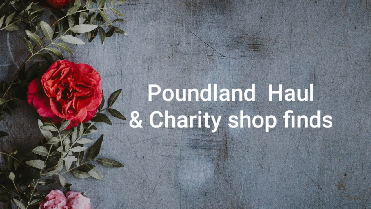 Poundland Haul and charity shop finds, September 2020