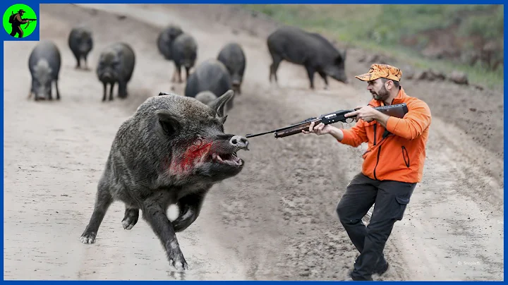 How Do Hunters And American Farmers Deal With Millions Of Wild Boars By Helicopter, Gun & Trap
