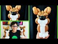 Fast and awesome dog balloon tutorial. Perro chévere hecho con 3 globos . Three balloon dog.