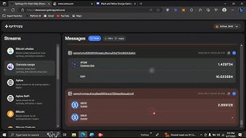 Exploring the Syntropy Showcase network