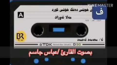 القارئ عباس جاسم