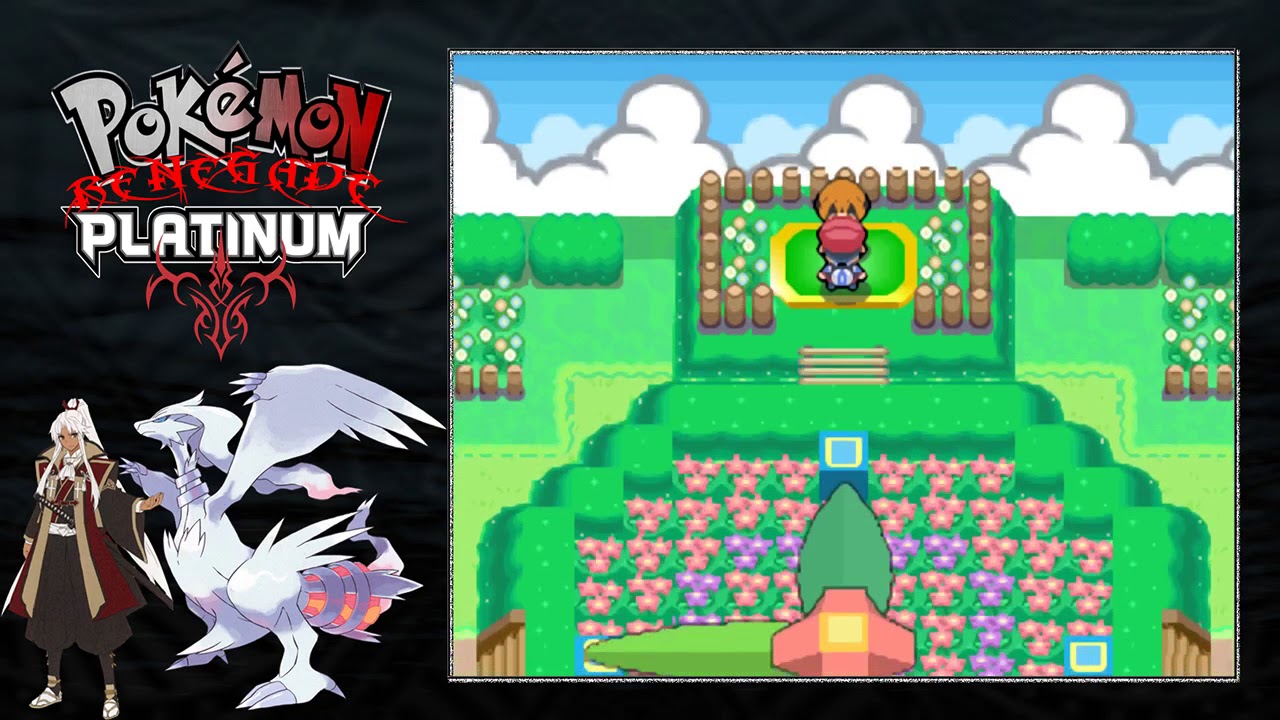 can you randomize moemon platinum can you randomize moemon platinum