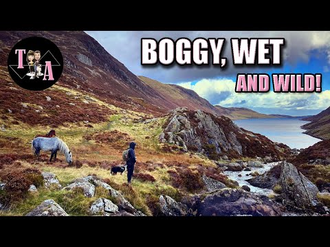 CAPEL CURIG SNOWDONIA HIKING  - Llyn Cowlyd Lake - Adventures In Snowdonia National Park!