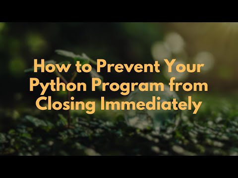 How to Prevent Your Python Program from Closing Immediately