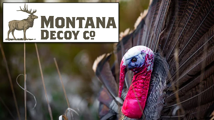 ATA 2022 - Montana Decoy's New 3D Wiley Tom