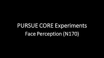 PURSUE CORE Experiments Face Perception (N170)