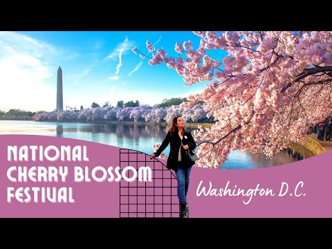 2022 National Cherry Blossom Festival - National Cherry Blossom Festival Washington D.C