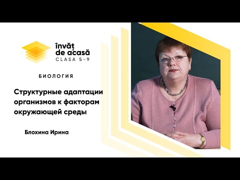 6й класс; Биология; "Структурные адаптации организмов к факторам окружающей среды"