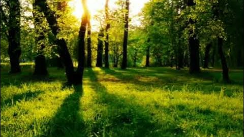 ارح سمعك.. تلاوة هادئه تريح القلب والعقل💙🎧سورة الحجر القارئ سالم الرويلي.