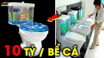 🔴10 Bể Cá Kỳ Lạ Và Điên Rồ Trong Nhà Chỉ Có Giới Siêu Giàu Mới Dám Xuống Tiền | NKP