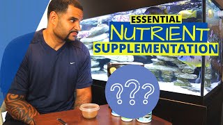 All Fish Foods Are Missing These - Add This For Color And Growth