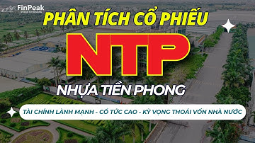 🔍 Soi Cổ phiếu NTP 2025: Lợi nhuận BỨT PHÁ từ đâu? Phân tích A-Z Nhựa Tiền Phong