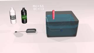 DWC ( Deep Water Culture ) hydroponics system animated