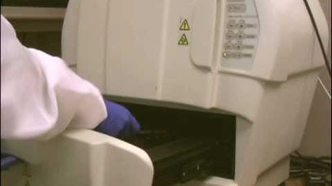 Using the Bio Rad Chemi Doc XRS to image the Q-Plex Array