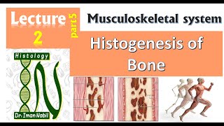 2e-Histology of Bone part5-Histogenesis of bone,bone growth and bone healing-Musculoskeletal system