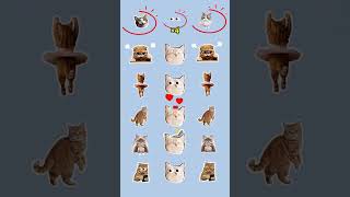 Find The Odd New A Cute Cat 🙀 #quiz #memes #stitch #shorts #reels