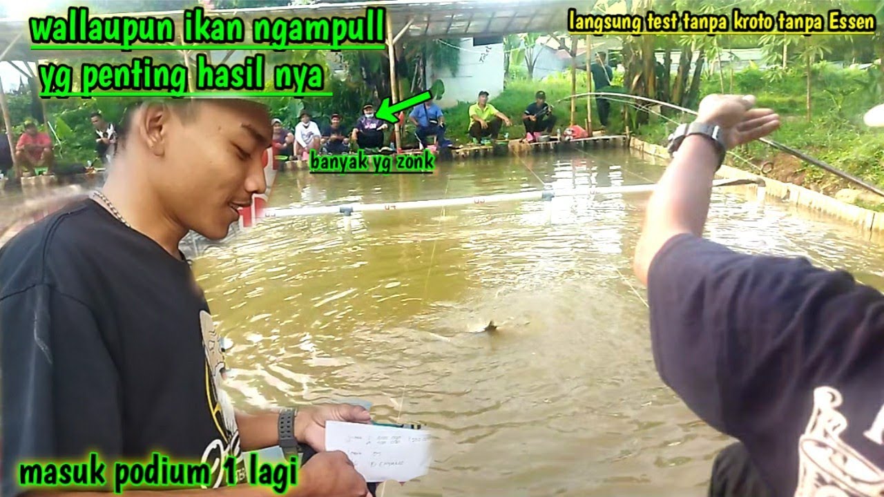 Racikan umpan putih kukus jempol amis special, wow juara 1 lagi walaupun ikan ngampul