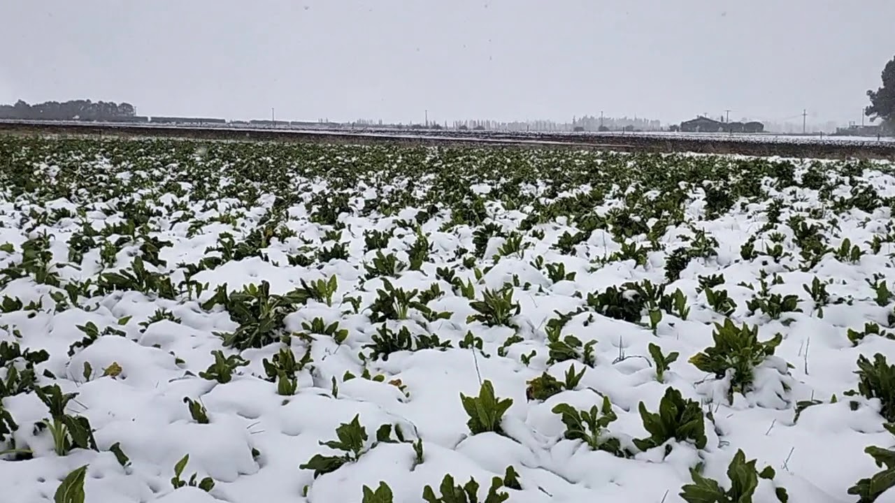 Southland, New Zealand 