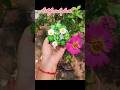 diy artificial plant🌱 . how to make plant from air dry clay.🌸home decor diy #easycraft #utubeshorts