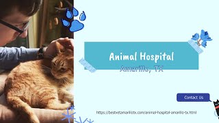 Animal Hospital Amarillo Texas