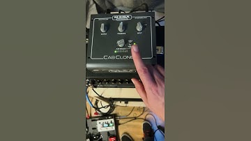 Mesa Boogie CabClone IR Quick Overview 🎸🎶
