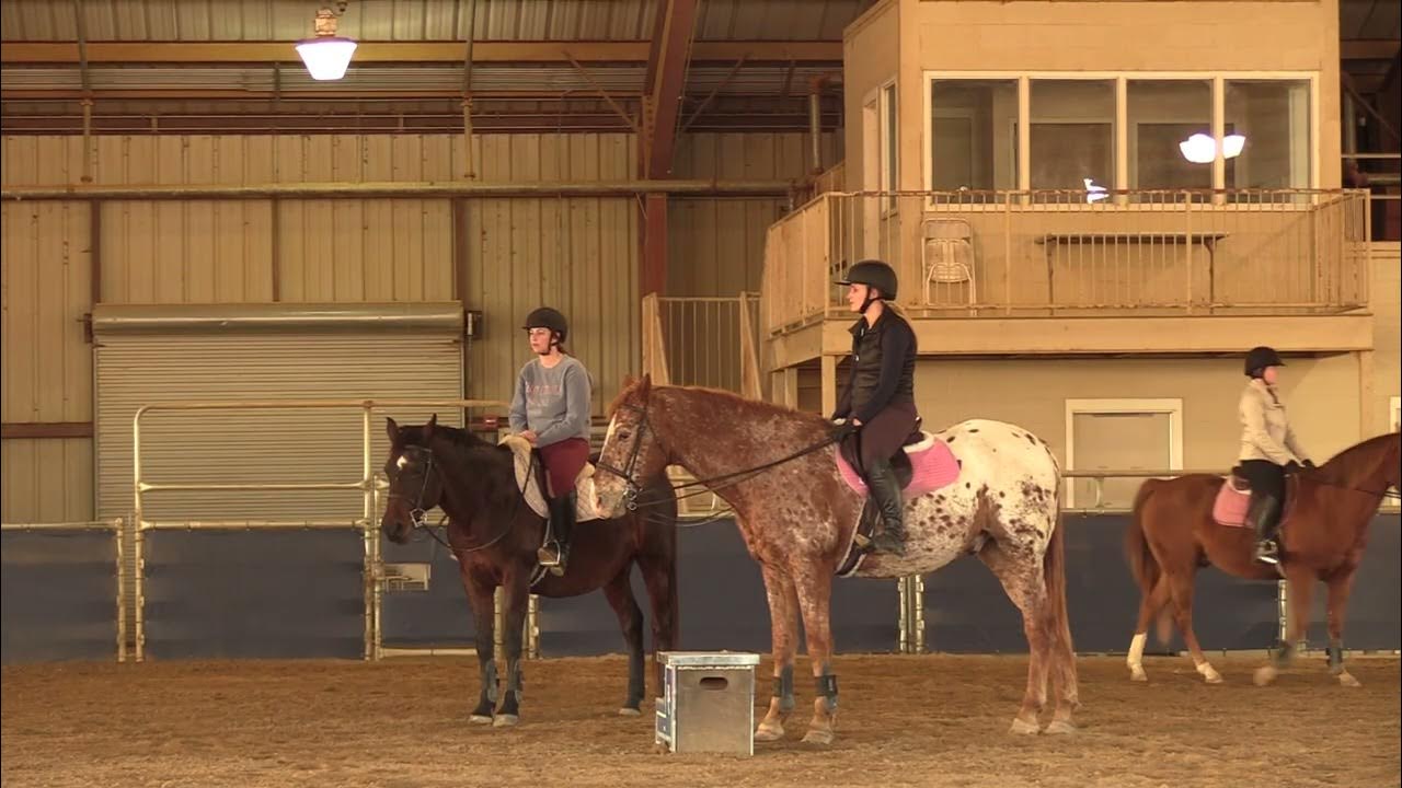 Berry Equestrian Team YouTube