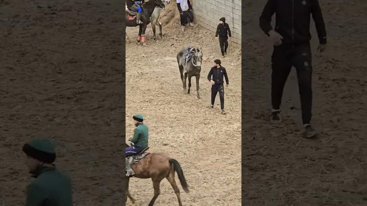 Ургатилган От 