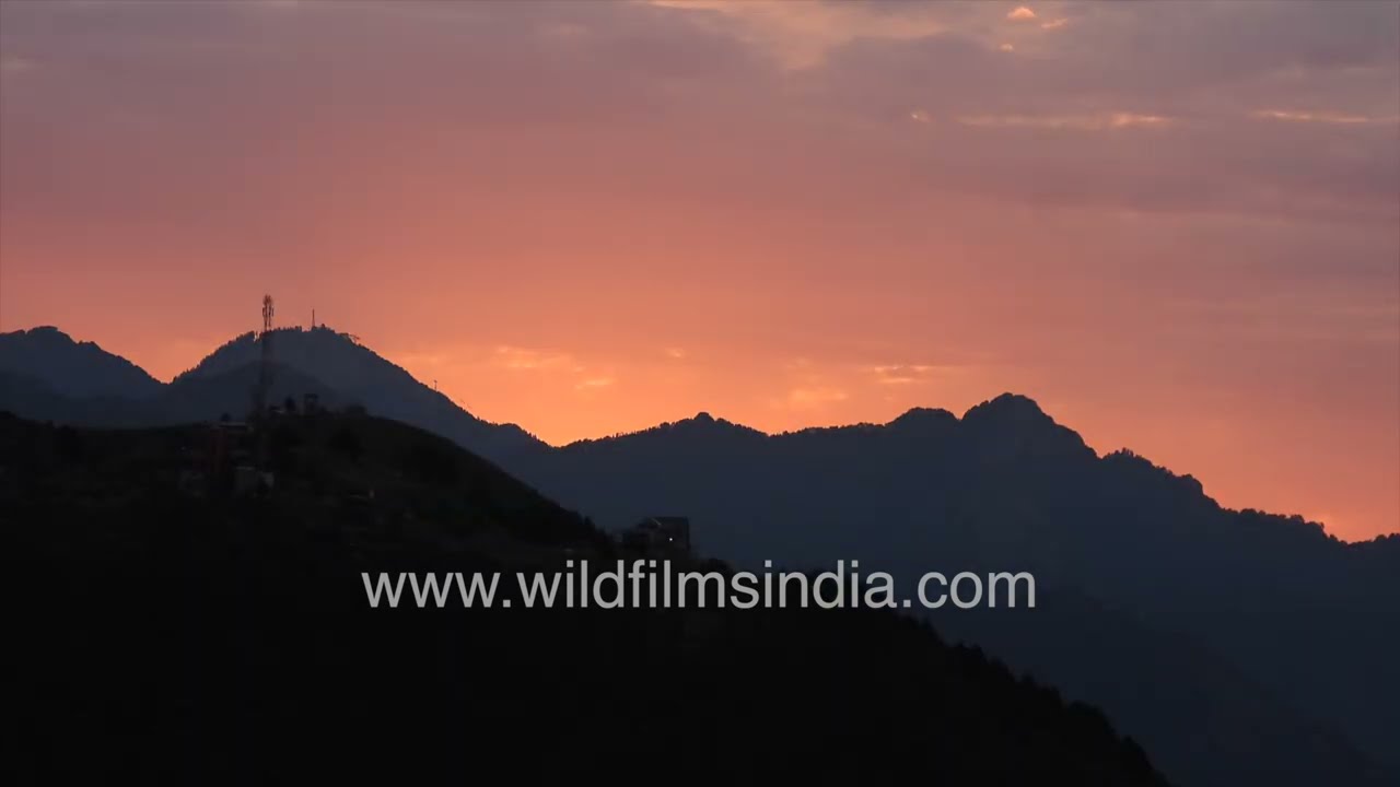 Golden Sunrise at Jabarkhet, Mussoorie | Sky Turns Blue After Dawn