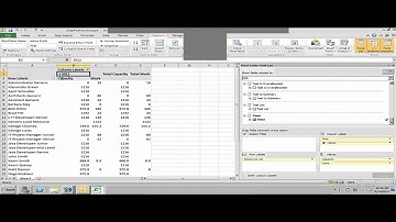 Building a Resource Usage Report in Project Server 2010