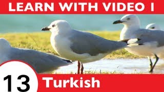 Learn Turkish with Video - Birds of a Feather Flock Together at TurkishClass101.com!