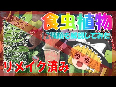 【ゆっくり解説】虫を食べるユニークな食虫植物たちを12種類紹介！【食虫植物】